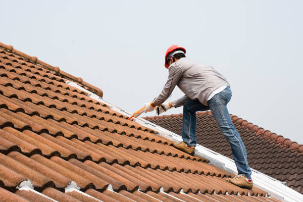 Best Sheet Metal Roofing  in Hoschton, GA