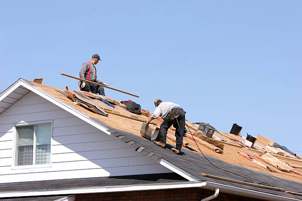 Best Roof Moss and Algae Removal  in Hoschton, GA